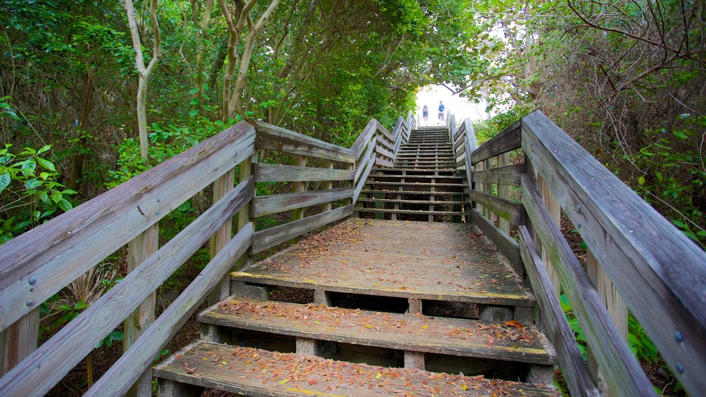 John D. MacArthur Beach State Park which includes a park and a bridge