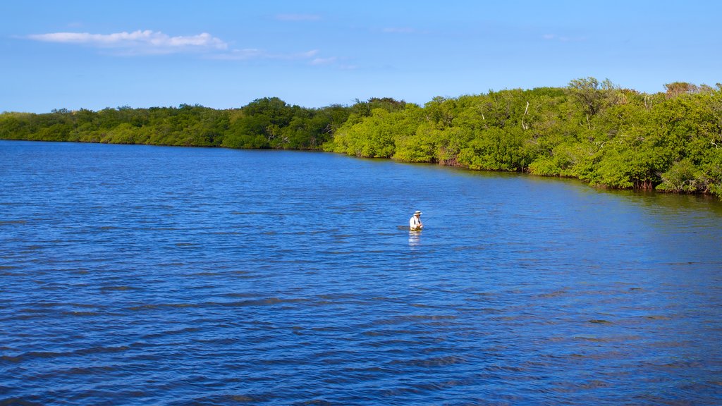 John D. MacArthur Beach State Park featuring fishing, mangroves and general coastal views