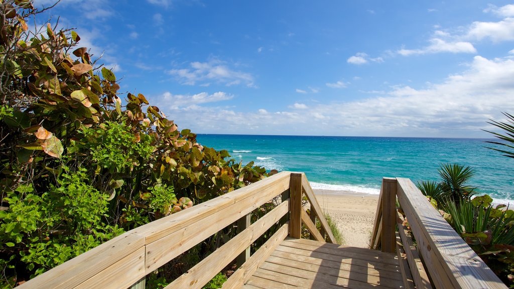 Phipps Ocean Park which includes a sandy beach and a bridge