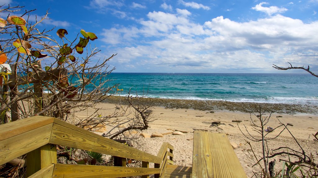 Phipps Ocean Park showing a beach and rugged coastline