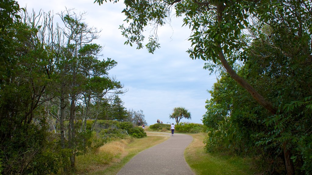 Point Cartwright showing a park