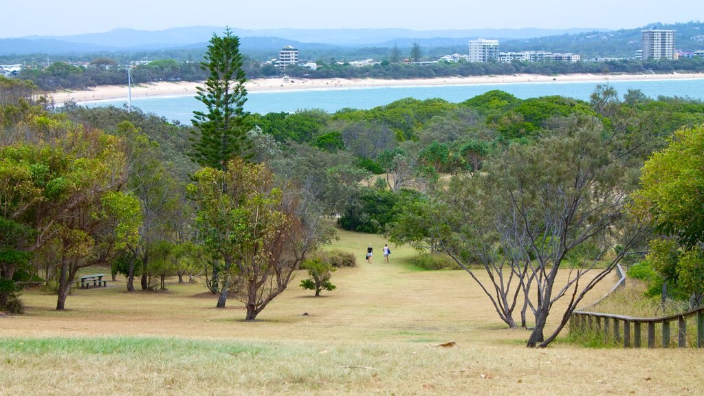 Mooloolaba showing a coastal town, a park and general coastal views