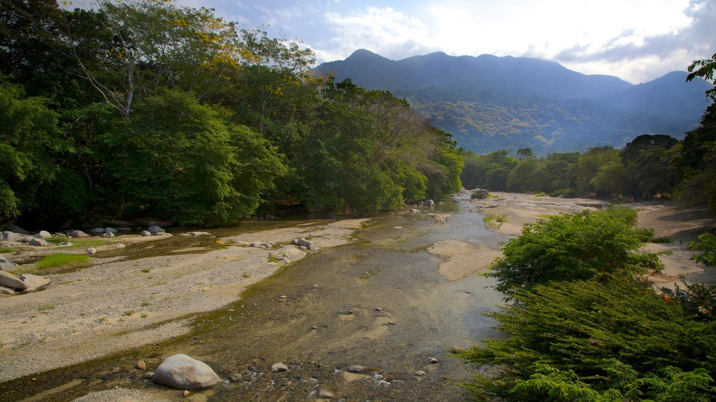 Santa Marta showing mountains, a river or creek and tranquil scenes