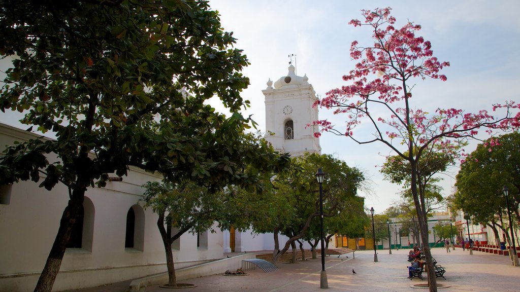 Centro Histórico caracterizando uma praça ou plaza e arquitetura de patrimônio