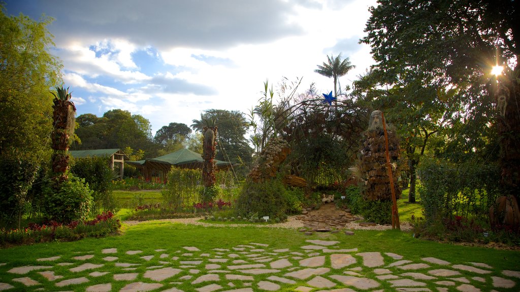 Bogotá Botaniske Have og byder på en have