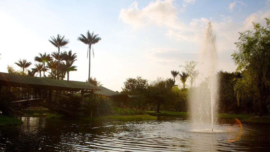 Jardín Botánico de Bogotá que incluye una fuente, jardín y un estanque