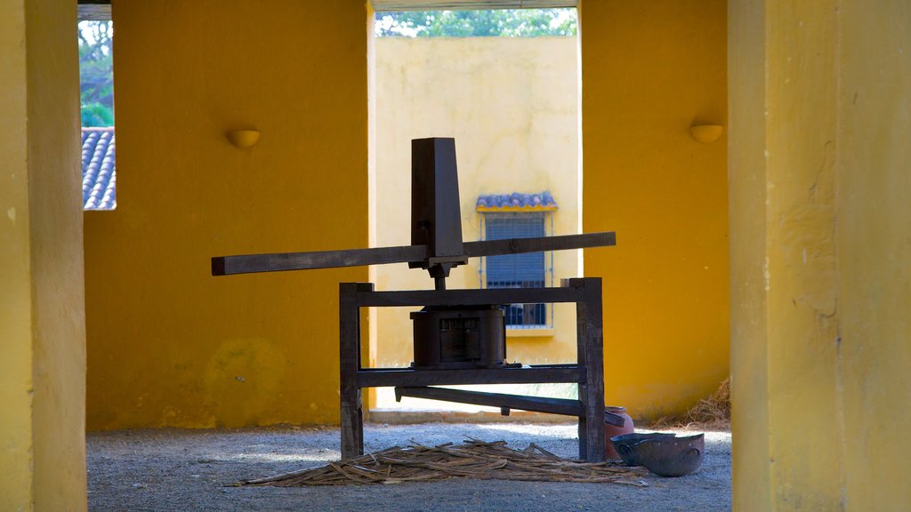 Quinta de San Pedro Alejandrino showing interior views