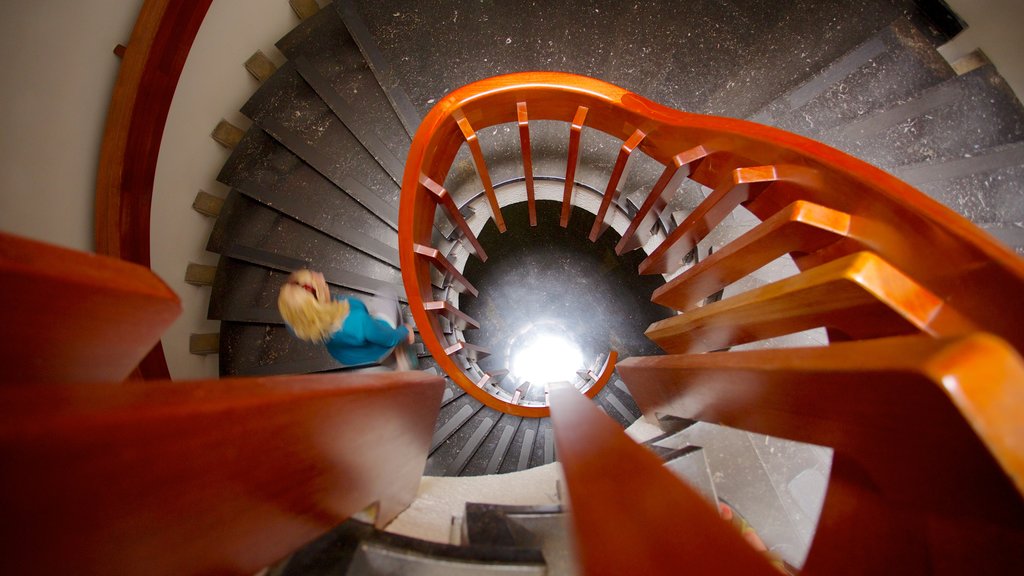 Bibliotheek Luis Angel Arango inclusief interieur en een overheidsgebouw en ook een vrouw