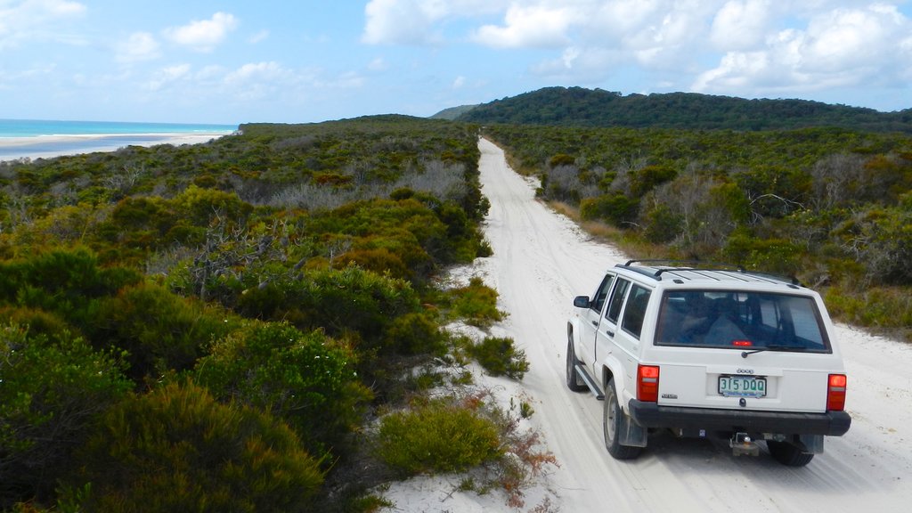 Parque nacional de Isla Moreton ofreciendo vista general a la costa, paseos en 4 x 4 y una playa de arena