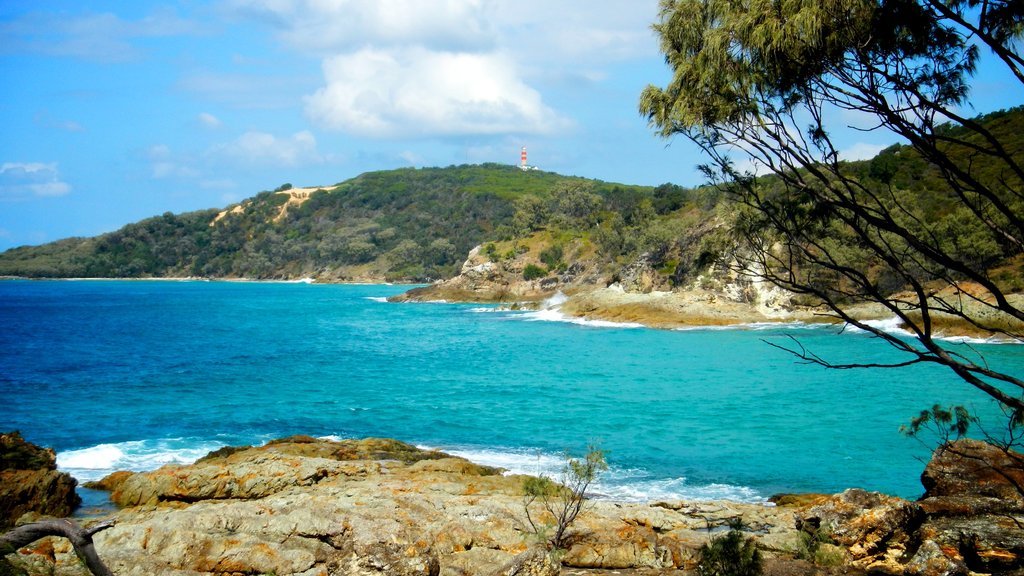 Moreton Island National Park mostrando vista del paesaggio e costa rocciosa