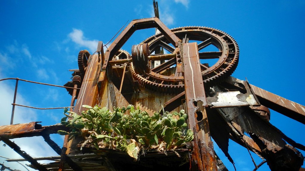 Moreton Island National Park showing heritage elements and outdoor art