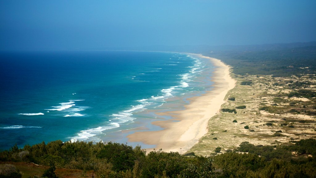 Moreton Island National Park which includes landscape views and a sandy beach