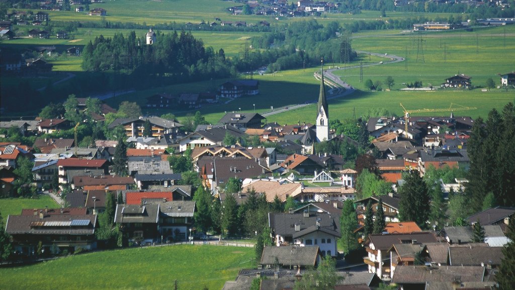 Mayrhofen que incluye escenas tranquilas, una pequeña ciudad o pueblo y vistas de paisajes