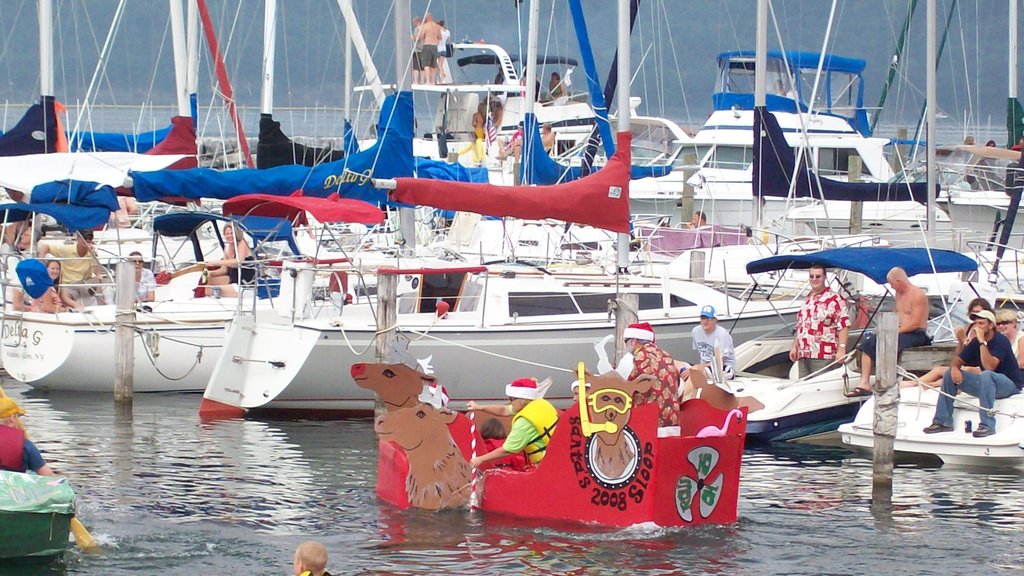 Seneca Lake som viser bådsejlads og en marina