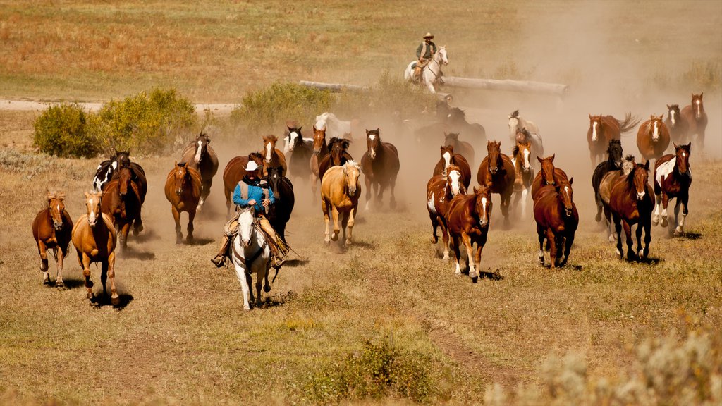 Estación de esquí Big Sky Resort ofreciendo escenas tranquilas, pasos a caballo y animales terrestres