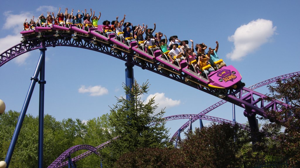 Springfield featuring rides as well as a large group of people