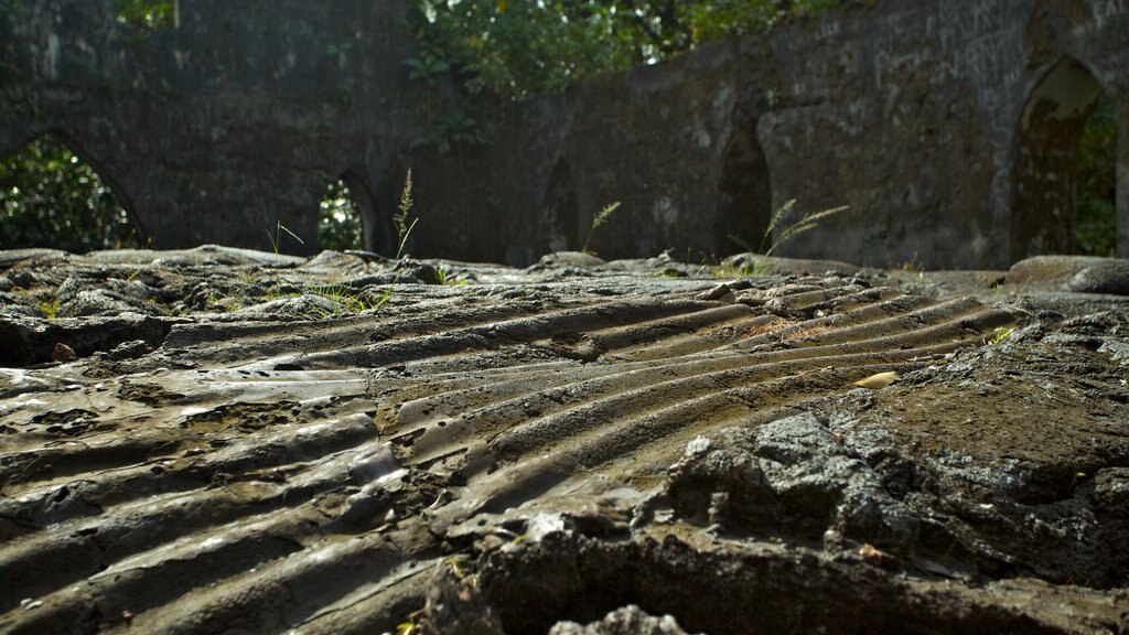 Saleaula Lava Field que incluye escenas tranquilas