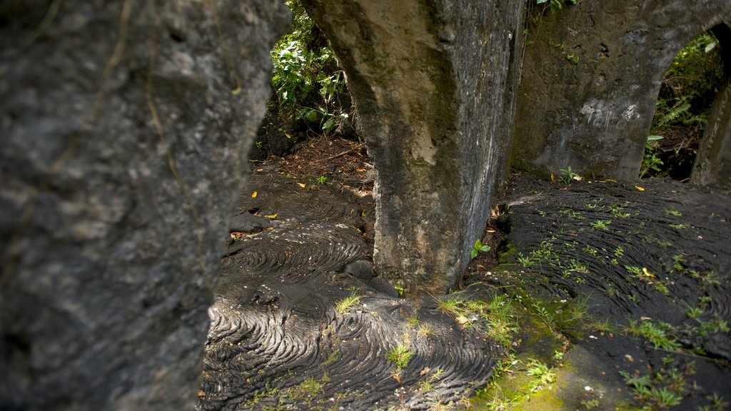 Champs de lave de Saleaula mettant en vedette éléments du patrimoine