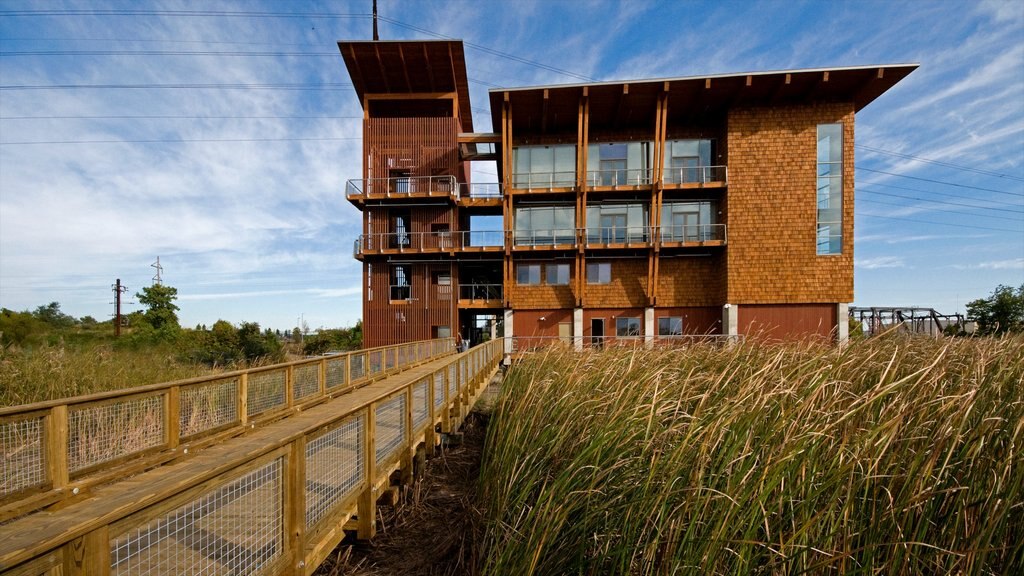 Wilmington showing modern architecture and tranquil scenes