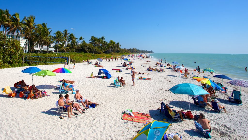 Naples Pier featuring a sandy beach and landscape views as well as a large group of people