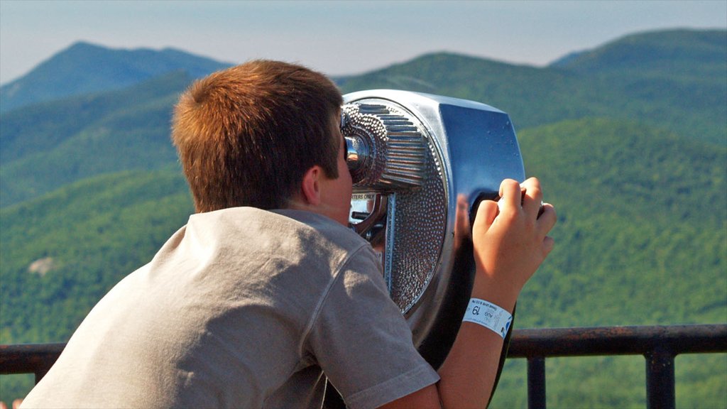 White Mountains featuring mountains and views as well as an individual child