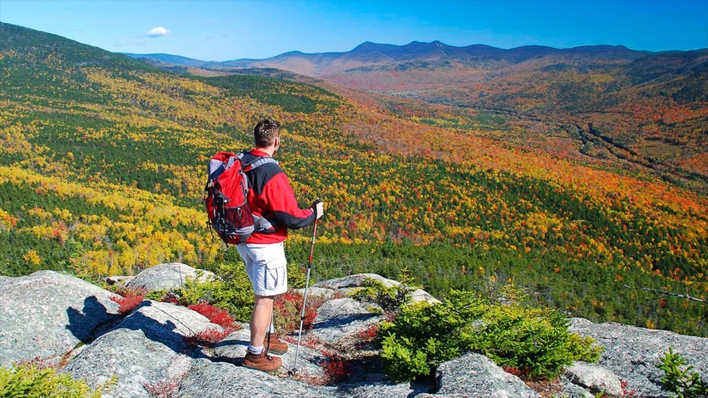 White Mountains que incluye hojas de otoño, senderismo o caminata y montañas