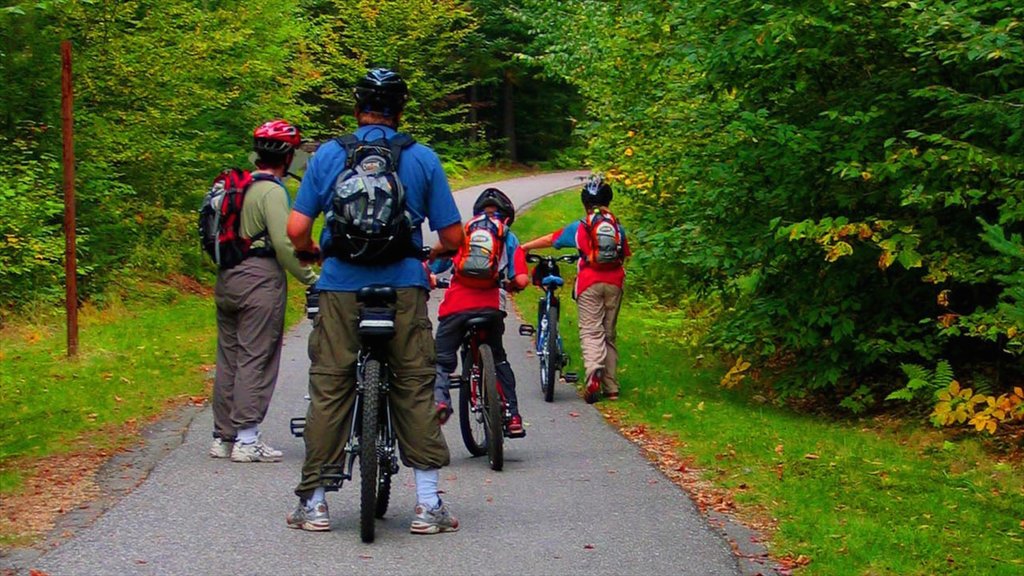 White Mountains ofreciendo imágenes de bosques, ciclismo y jardín