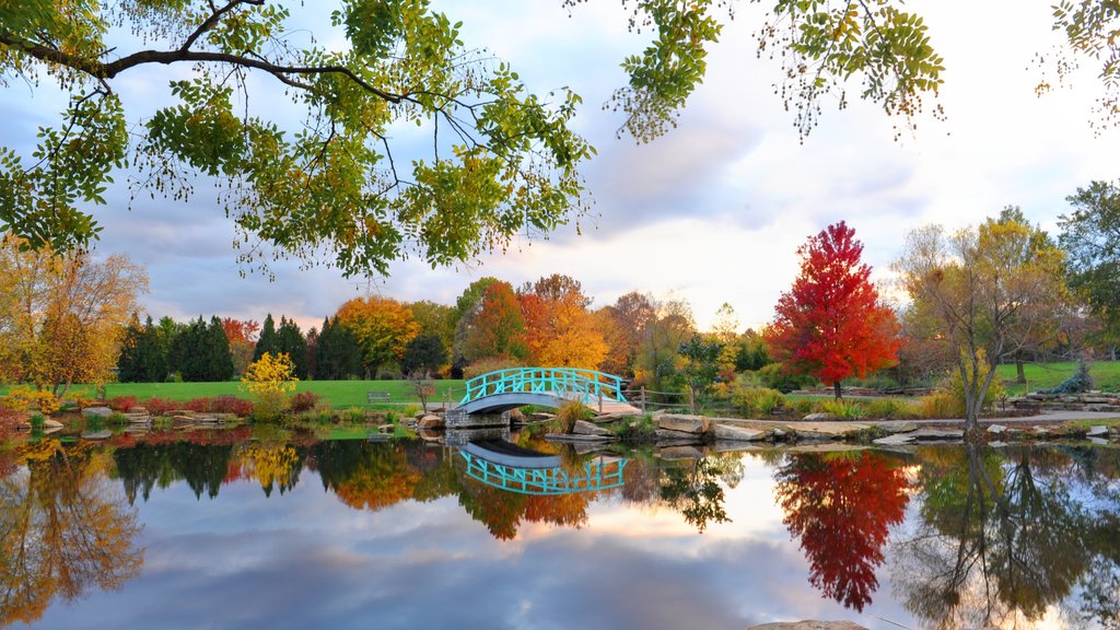 Dayton que incluye los colores del otoño, un puente y un lago o abrevadero