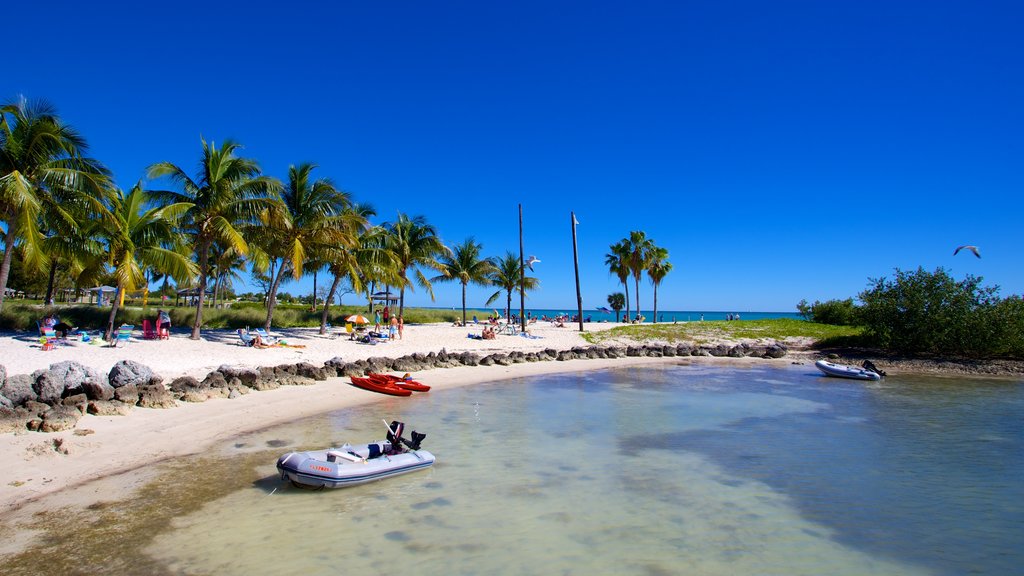 Marathon which includes tropical scenes, a bay or harbour and a sandy beach