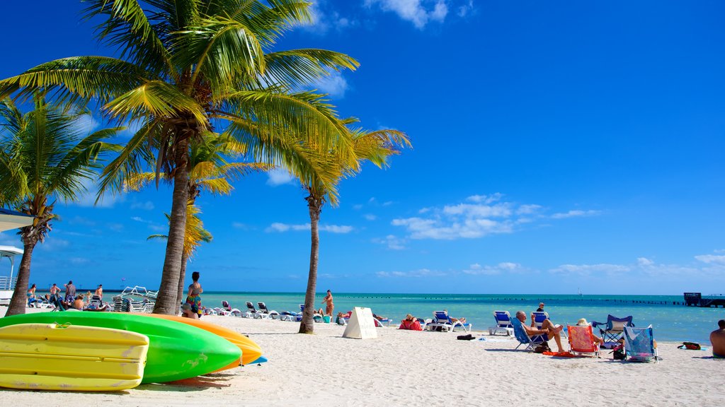 Higgs Beach which includes tropical scenes and a beach as well as a large group of people