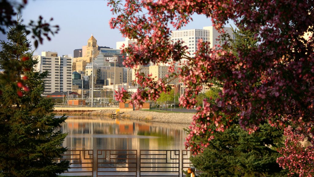 Rochester showing general coastal views, a city and a park