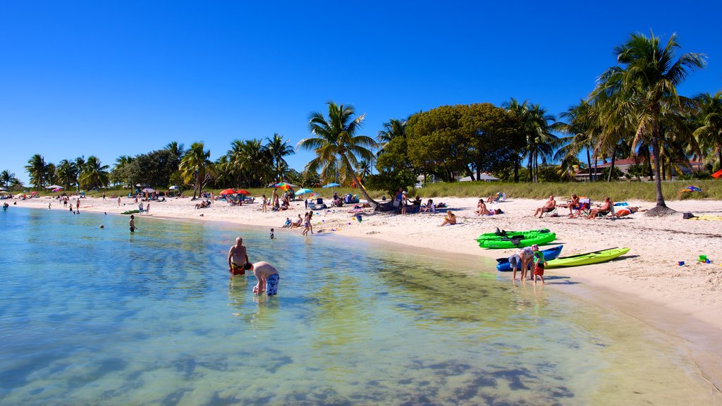 Marathon showing a beach, swimming and tropical scenes