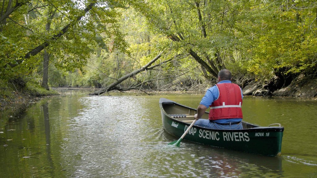 Canton ofreciendo un río o arroyo, bosques y kayak o canoa