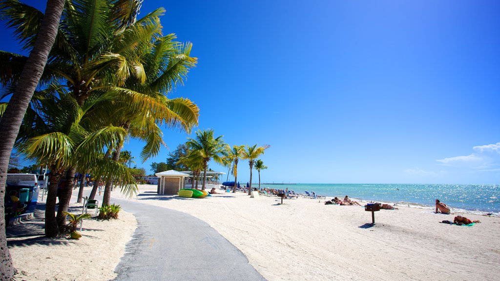 Higgs Beach featuring a sandy beach, a beach bar and tropical scenes