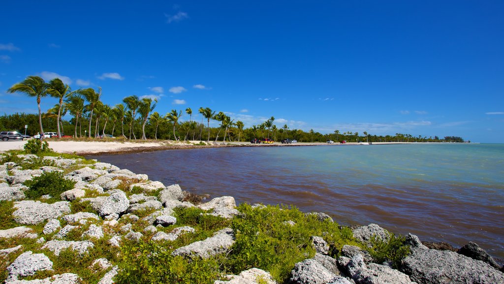 Smathers Beach which includes a sandy beach, tropical scenes and rocky coastline