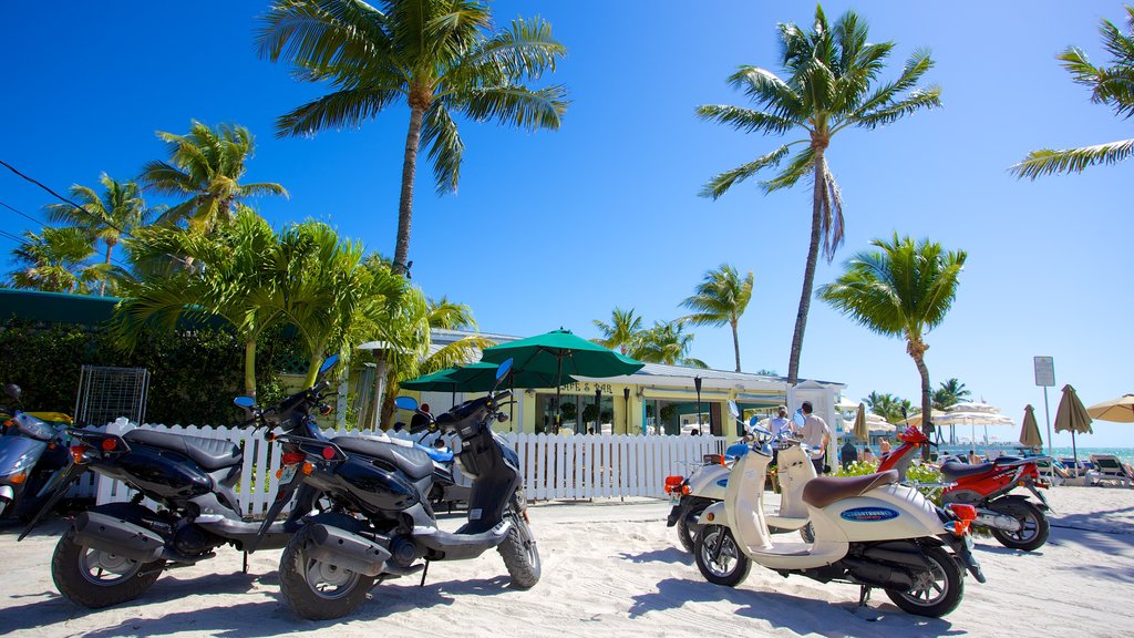 Barrio de South Beach que incluye vista general a la costa