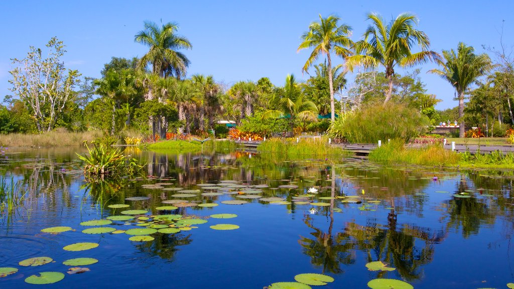 Jardín Botánico de Naples ofreciendo un jardín y un estanque