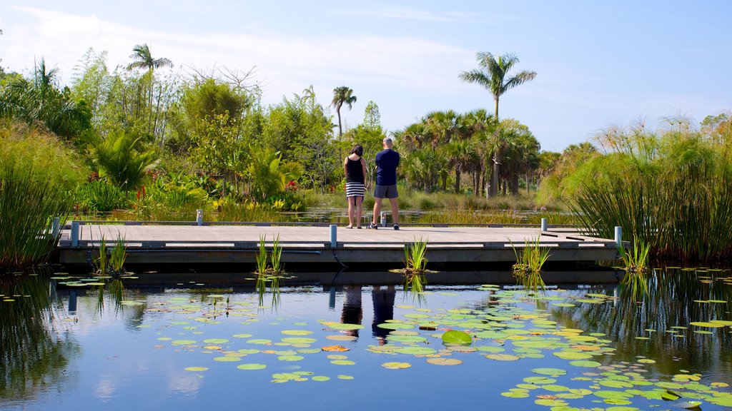 Naples Botanical Garden showing a bridge, a pond and a park