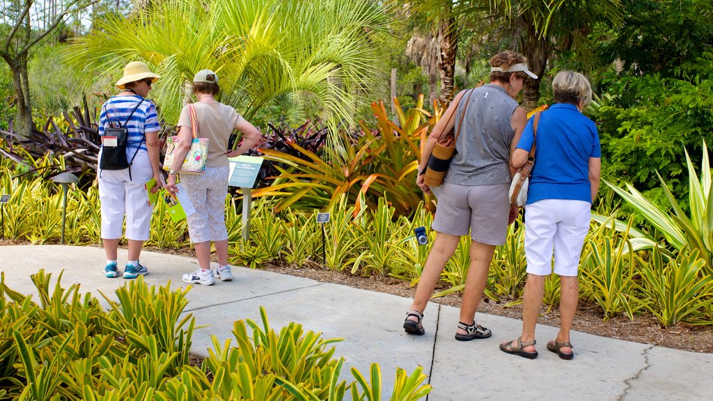 Jardim Botânico de Naples que inclui um jardim assim como um pequeno grupo de pessoas