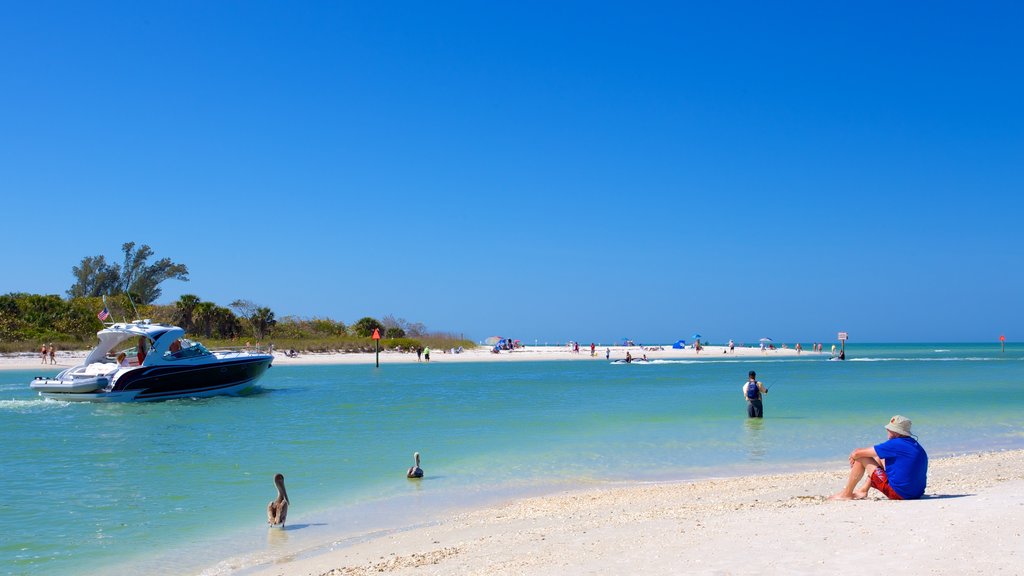 Barefoot Beach which includes a sandy beach