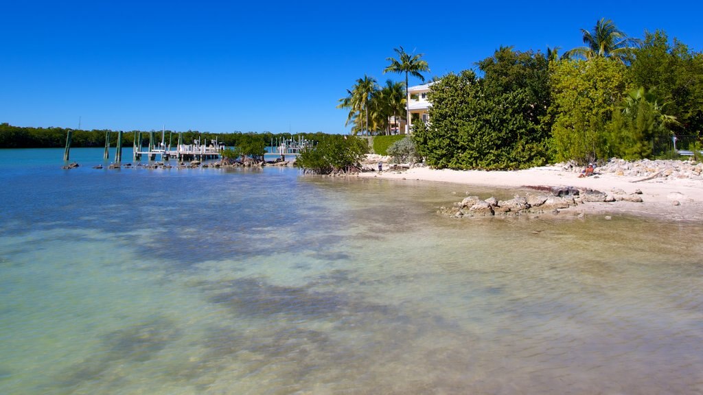 Sombrero Beach which includes a sandy beach