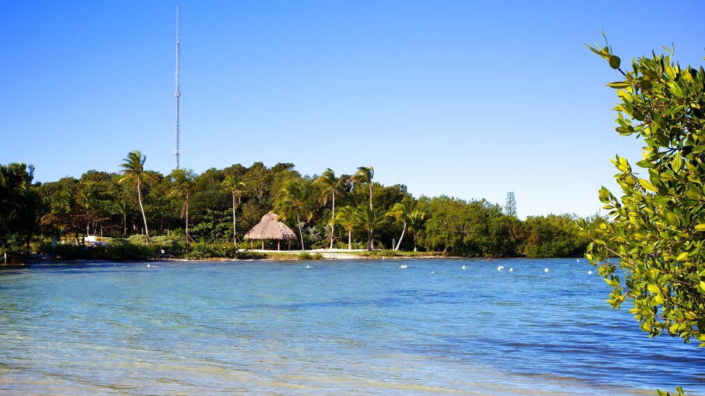 Taman Founders yang mencakup pemandangan umum pantai