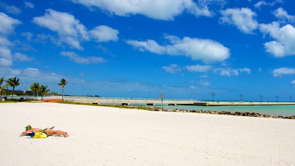 Higgs Beach showing a beach as well as an individual female