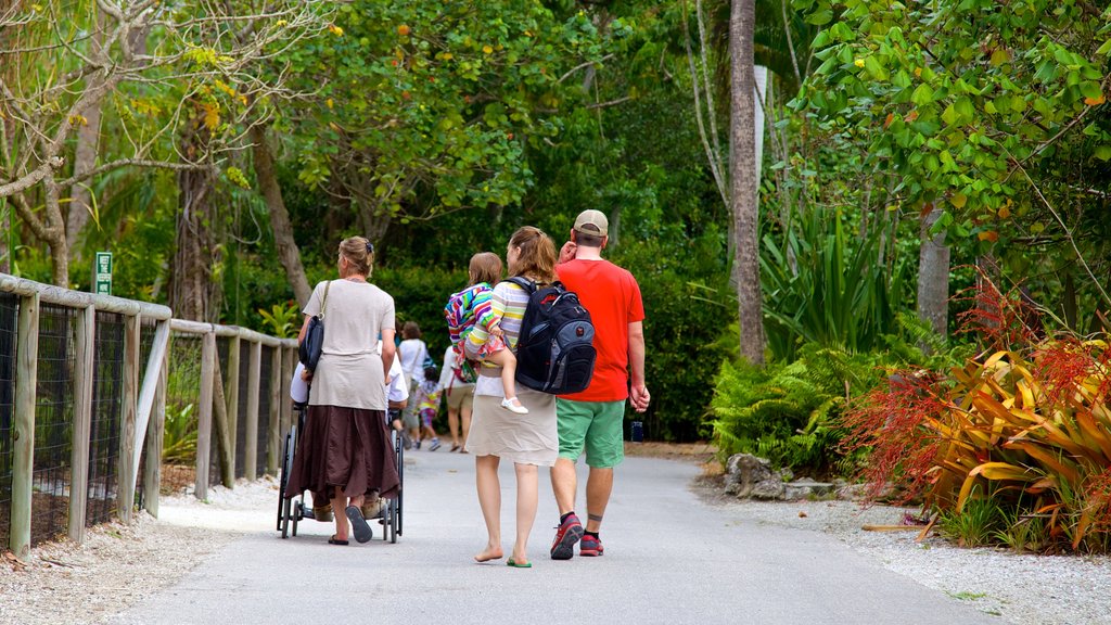 Naples Zoo at Caribbean Gardens aussi bien que petit groupe de personnes