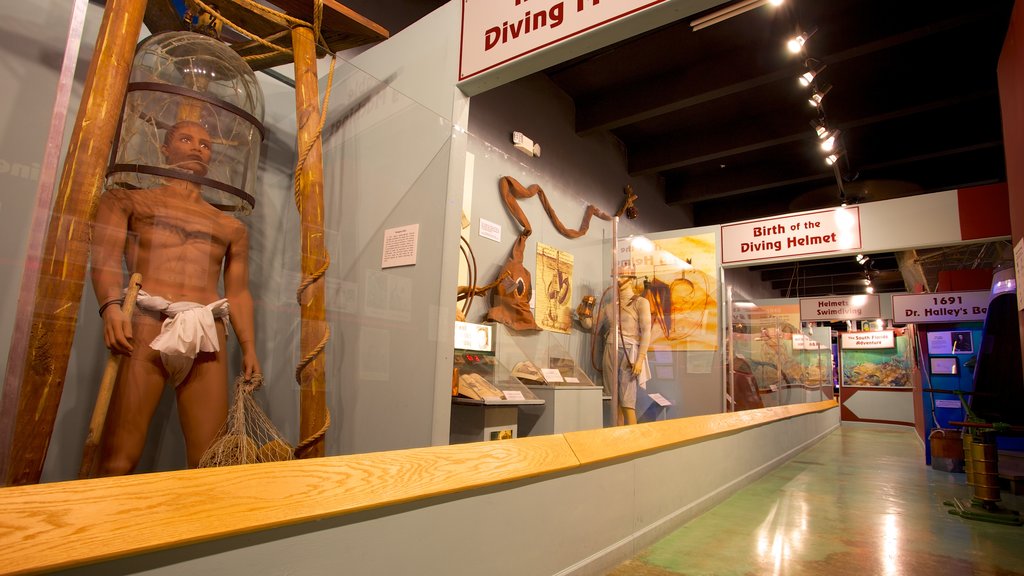 History of Diving Museum