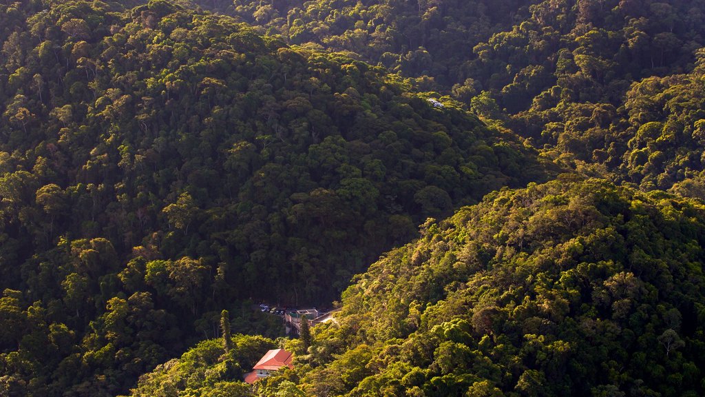 รูปปั้นพระเยซู Corcovado