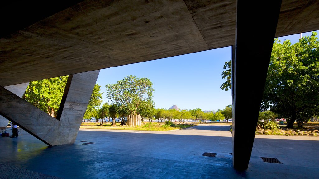 Museu de Arte Moderna mostrando arquitetura moderna