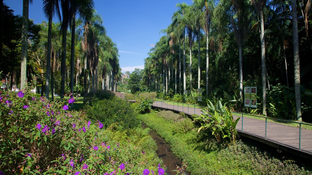 São Paulos botaniska trädgård presenterar en park