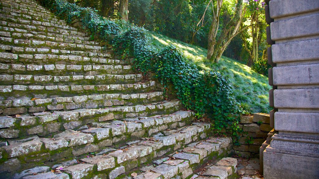 Jardin botanique de São Paulo