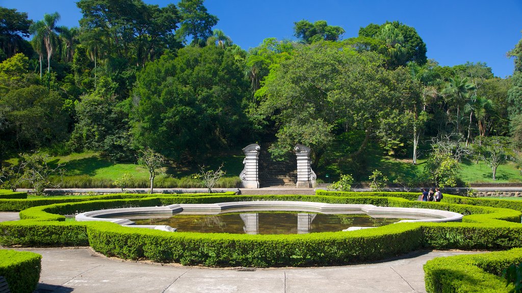 Sao Paulo Botanical Garden featuring a garden and a pond